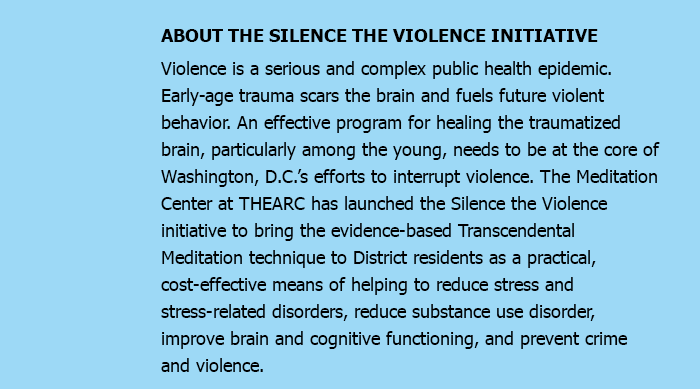 ABOUT THE SILENCE THE VIOLENCE INITIATIVE 